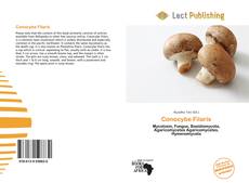 Bookcover of Conocybe Filaris