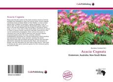 Capa do livro de Acacia Cognata 