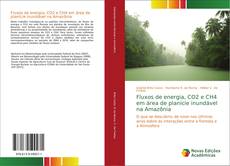 Buchcover von Fluxos de energia, CO2 e CH4 em área de planície inundável na Amazônia