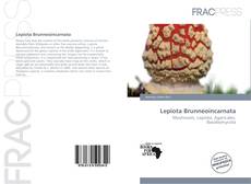 Couverture de Lepiota Brunneoincarnata