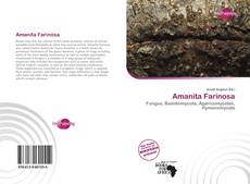 Portada del libro de Amanita Farinosa