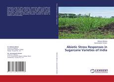 Buchcover von Abiotic Stress Responses in Sugarcane Varieties of India