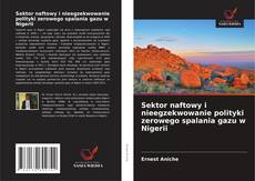 Bookcover of Sektor naftowy i nieegzekwowanie polityki zerowego spalania gazu w Nigerii