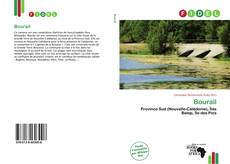 Buchcover von Bourail