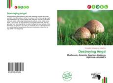 Buchcover von Destroying Angel