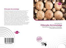 Portada del libro de Clitocybe Acromelalga