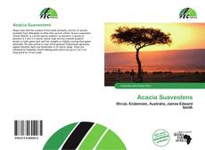 Acacia Suaveolens kitap kapağı