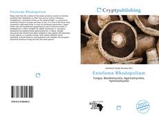 Bookcover of Entoloma Rhodopolium