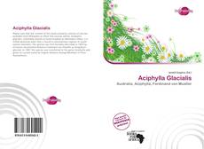 Bookcover of Aciphylla Glacialis