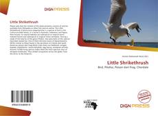 Bookcover of Little Shrikethrush