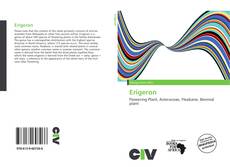 Обложка Erigeron