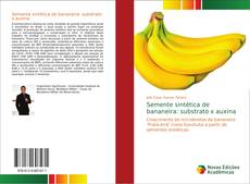 Bookcover of Semente sintética de bananeira: substrato x auxina