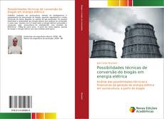 Possibilidades técnicas de conversão do biogás em energia elétrica kitap kapağı