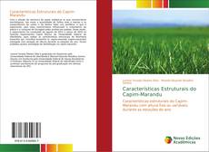 Buchcover von Características Estruturais do Capim-Marandu