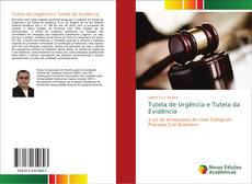 Bookcover of Tutela de Urgência e Tutela da Evidência