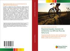 Buchcover von Representações Sociais de Ambiente na APA do Pico da Ibituruna