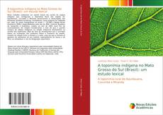 Copertina di A toponímia indígena no Mato Grosso do Sul (Brasil): um estudo lexical