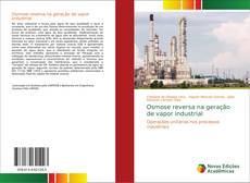 Osmose reversa na geração de vapor industrial的封面