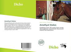 Amethyst Stakes的封面