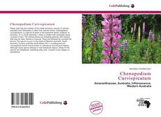 Capa do livro de Chenopodium Curvispicatum 