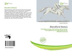 Buchcover von Blandford Stakes