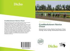 Craddockstown Novice Chase的封面