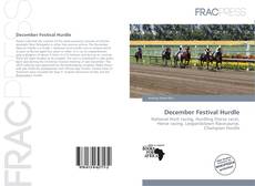 December Festival Hurdle kitap kapağı