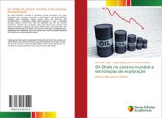 Capa do livro de Oil Shale no cenário mundial e tecnologias de exploração 