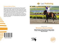 Copertina di Drinmore Novice Chase