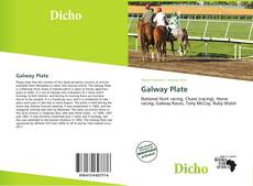 Galway Plate的封面