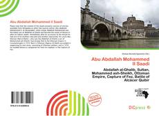 Abu Abdallah Mohammed II Saadi的封面