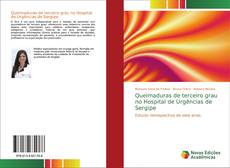 Capa do livro de Queimaduras de terceiro grau no Hospital de Urgências de Sergipe 