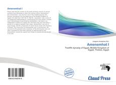 Amenemhat I kitap kapağı