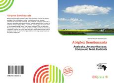 Portada del libro de Atriplex Semibaccata