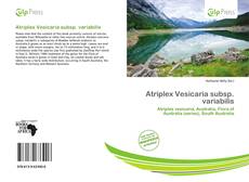 Buchcover von Atriplex Vesicaria subsp. variabilis