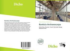 Banksia Archaeocarpa的封面