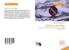 Borítókép a  Banksia Ilicifolia - hoz