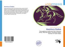 Capa do livro de Aventura Stakes 