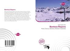 Portada del libro de Banksia Repens