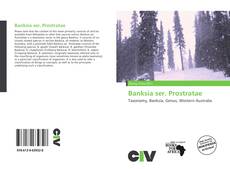 Bookcover of Banksia ser. Prostratae