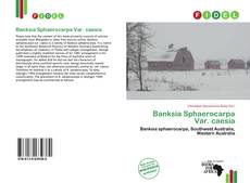 Buchcover von Banksia Sphaerocarpa Var. caesia