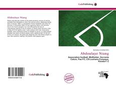 Abdoulaye Niang的封面