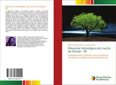 Portada del libro de Potencial hidrológico do riacho do Pontal - PE