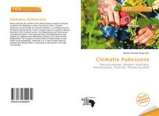 Bookcover of Clematis Pubescens