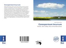 Copertina di Conospermum Incurvum