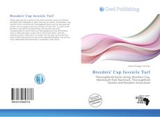 Buchcover von Breeders' Cup Juvenile Turf