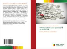 Buchcover von Strategic Balanced Scorecard at PROPEIXE