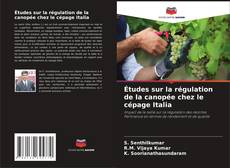 Обложка Études sur la régulation de la canopée chez le cépage Italia