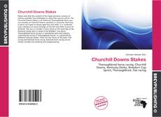 Buchcover von Churchill Downs Stakes