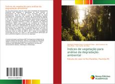 Обложка Índices de vegetação para análise da degradação ambiental